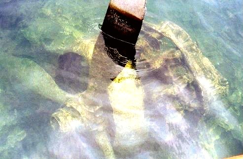 A PBY engine which had been hauled close to the shoreline. Image taken 1995