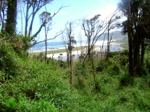 Chiloé Island