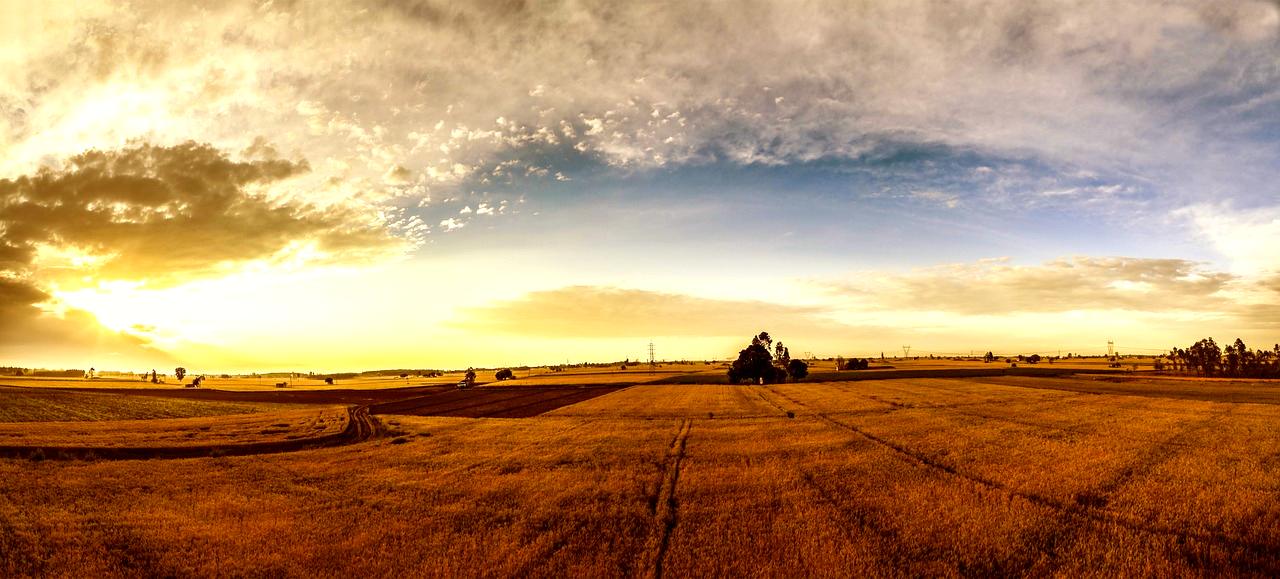 Punjab