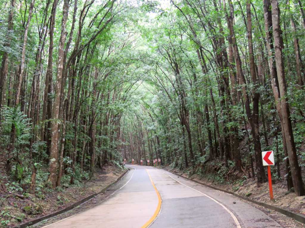 Bohol