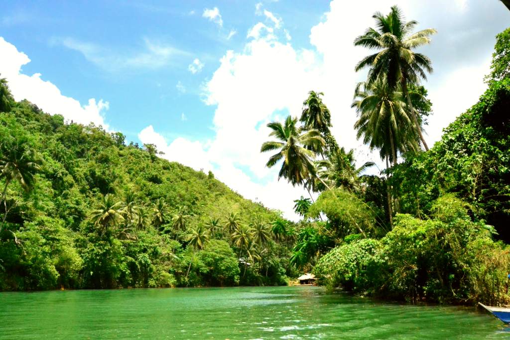 Bohol