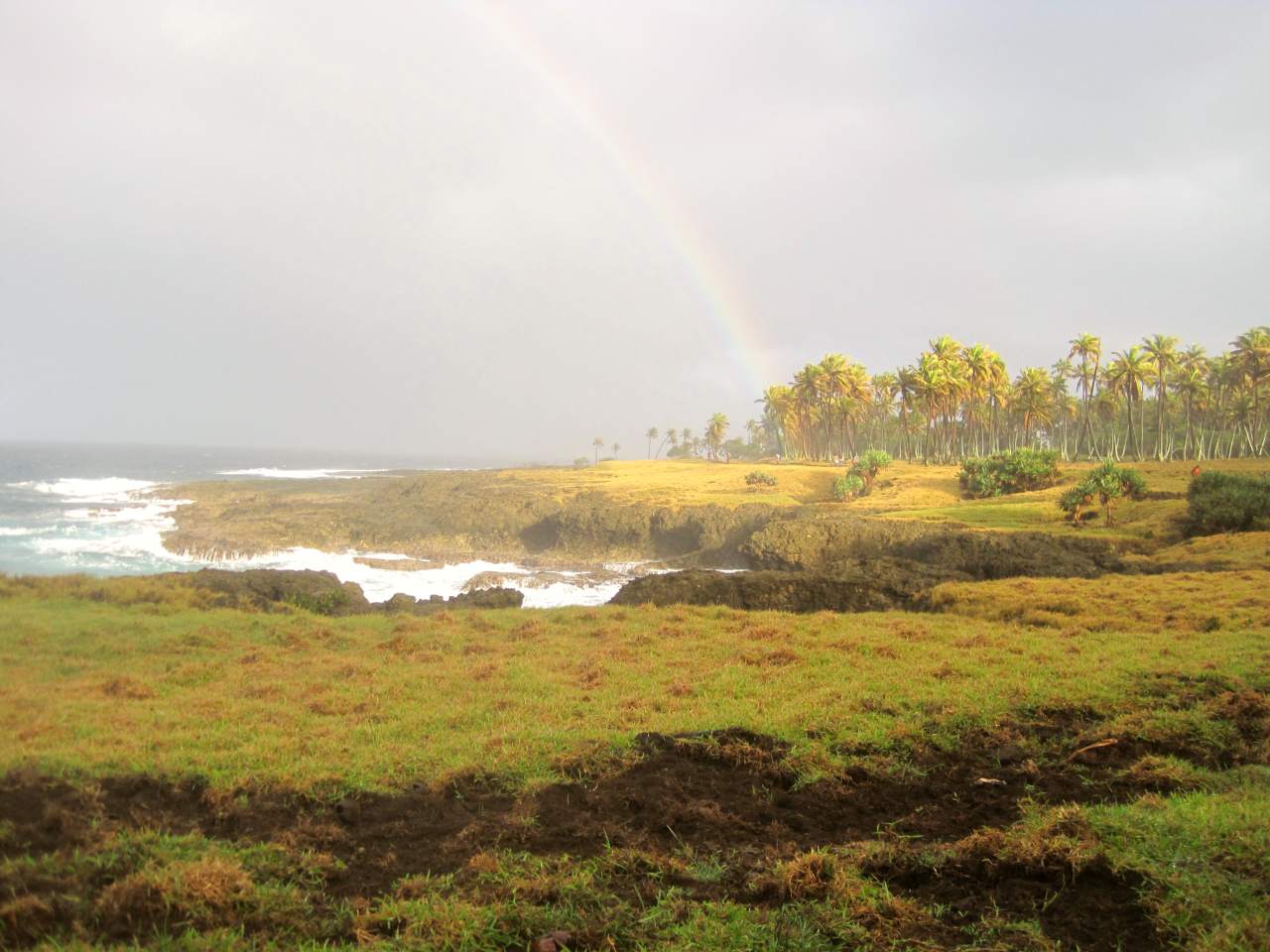Tanna Island
