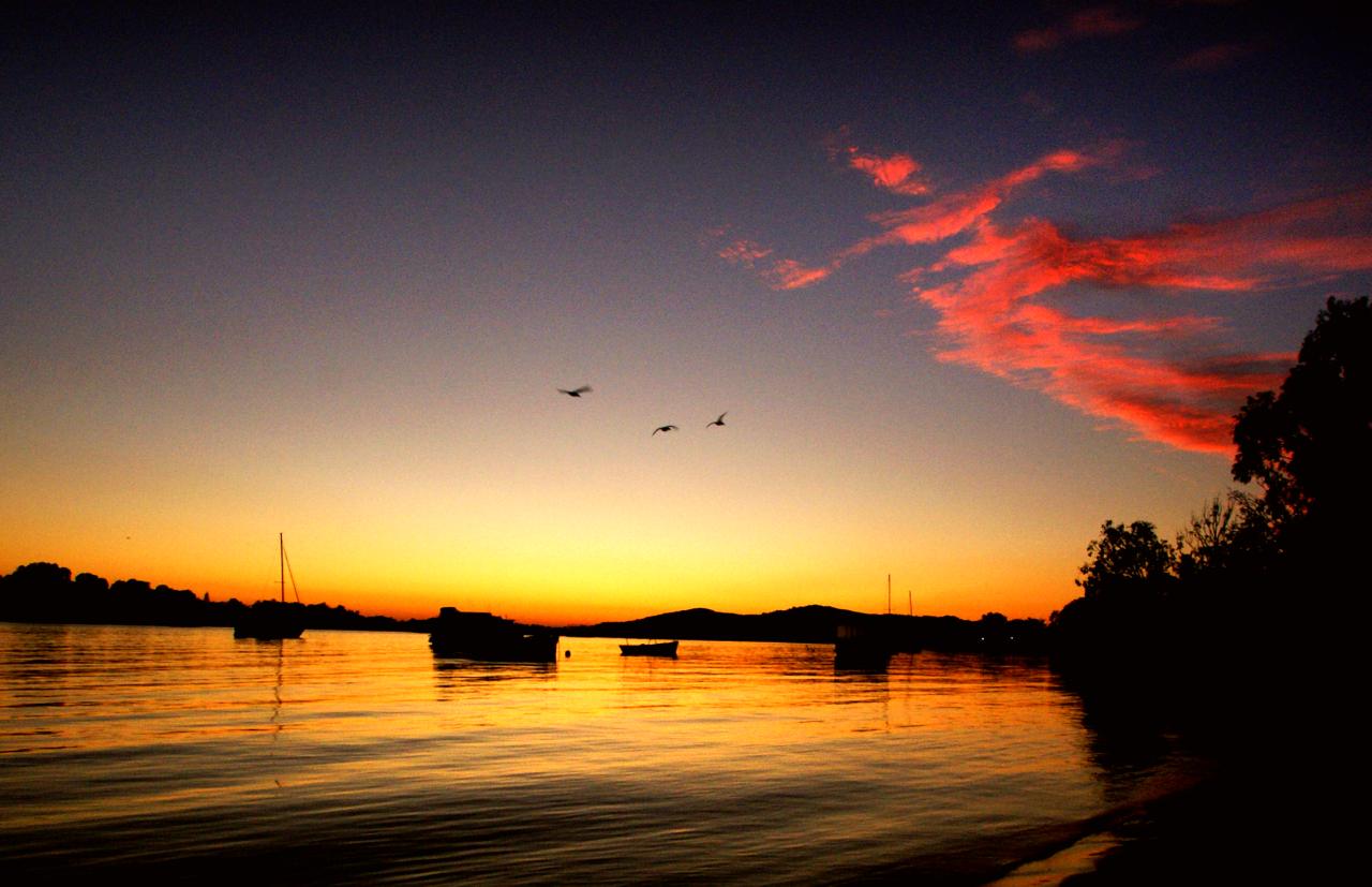 Noosa