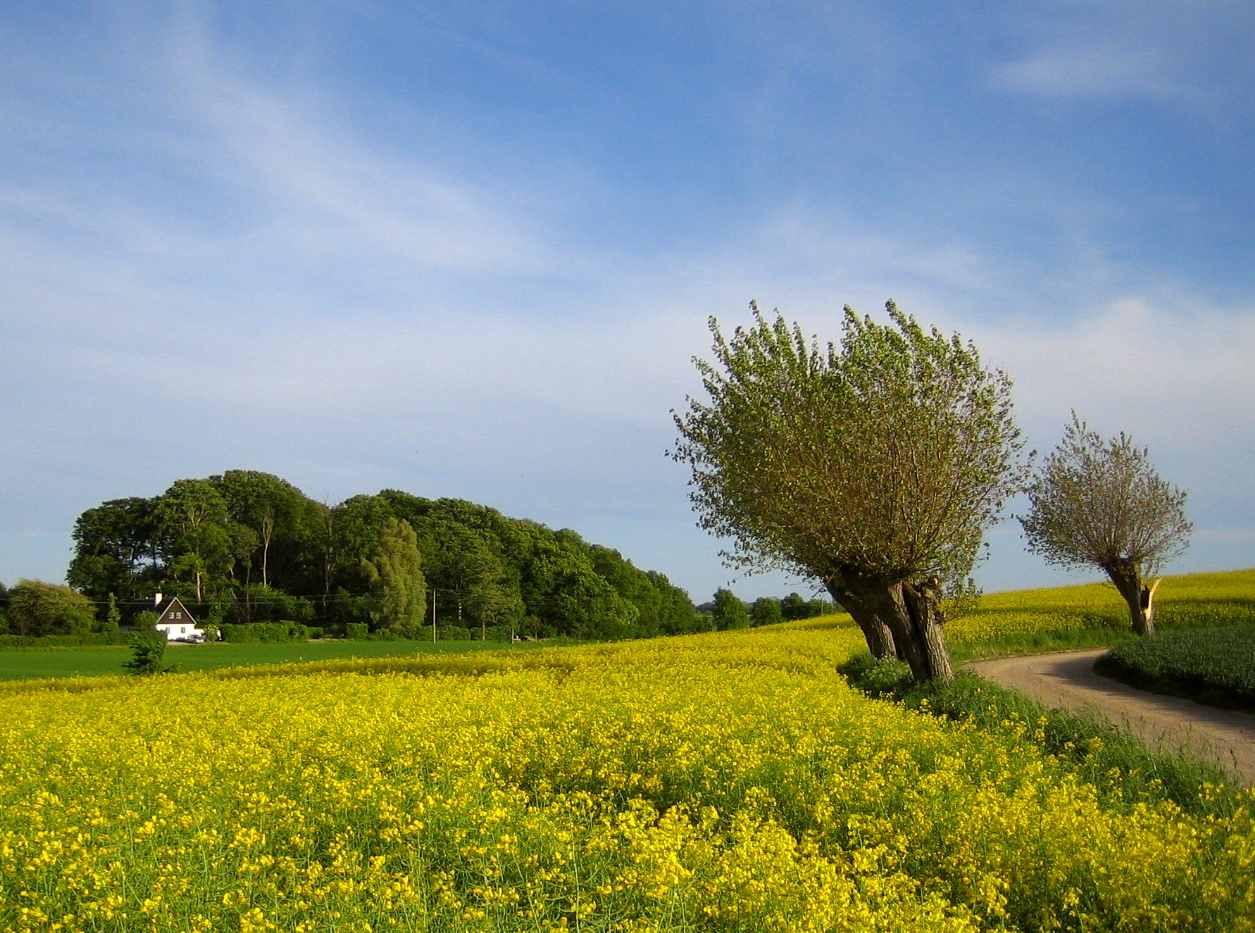 Skåne