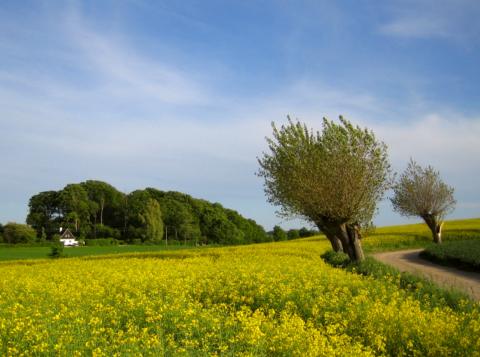 Skåne