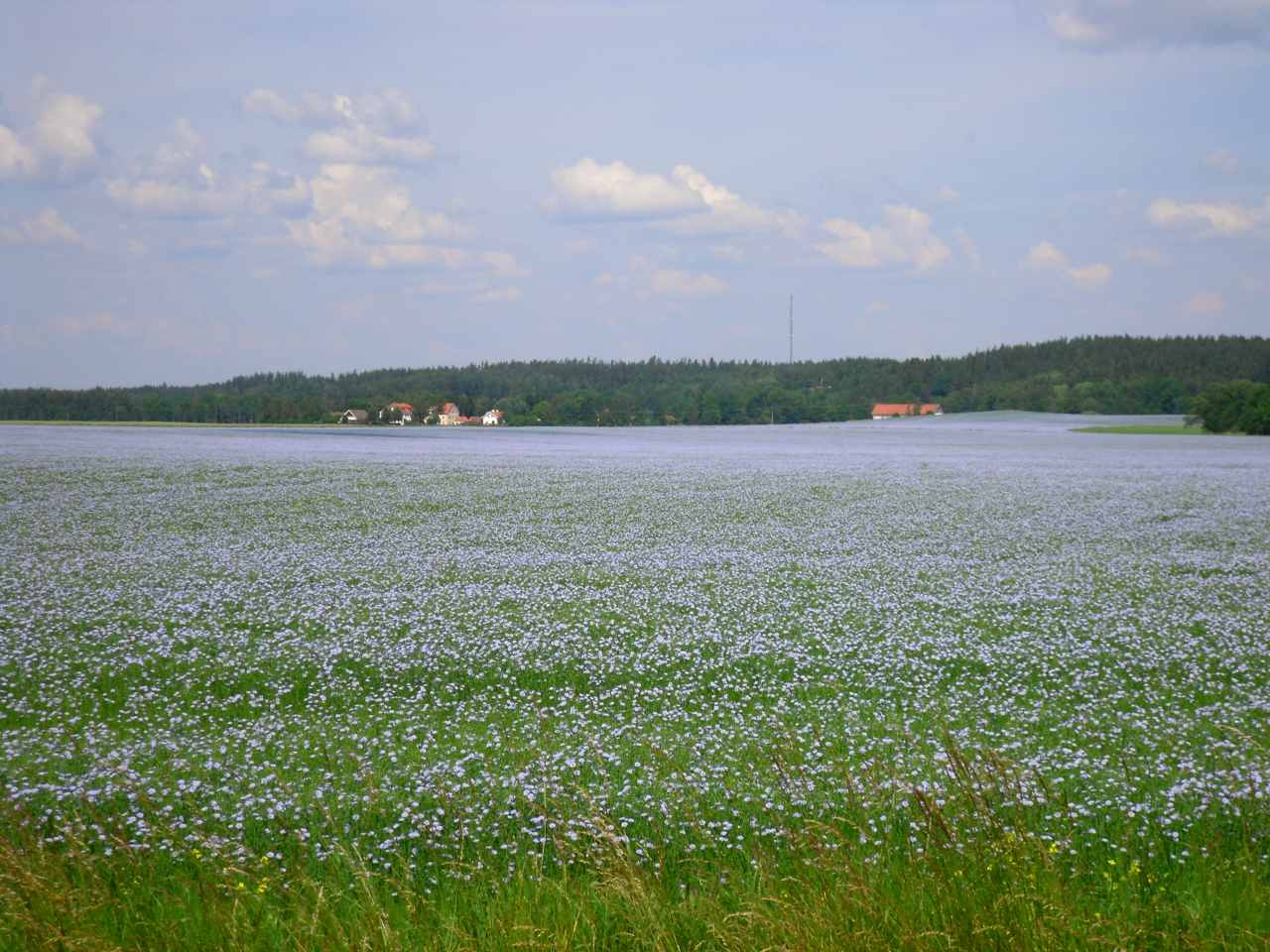 Östergötland