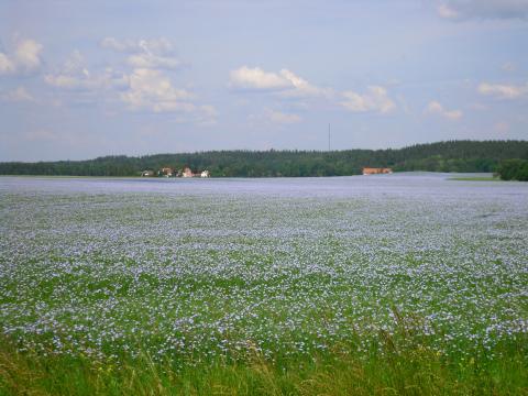Östergötland