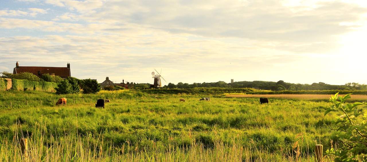 Norfolk