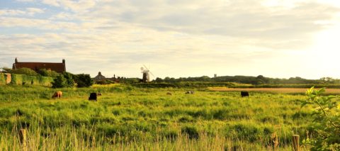 Norfolk