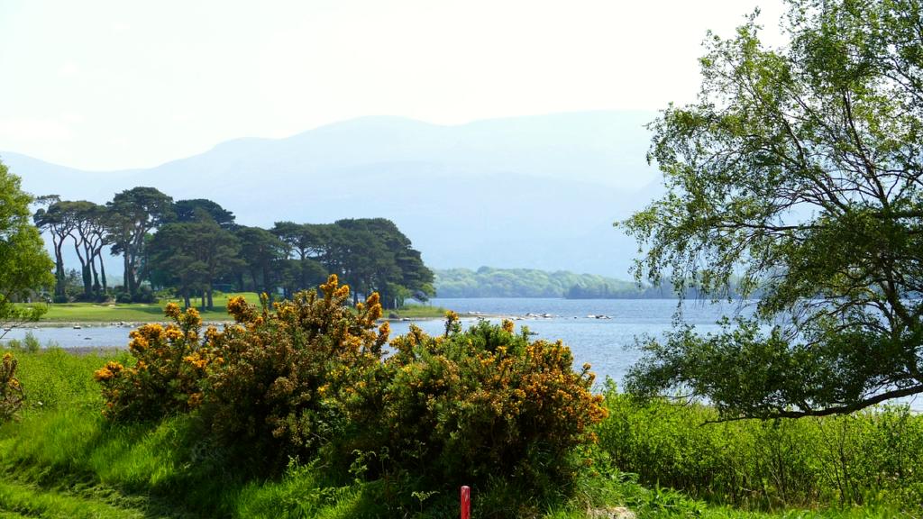Killarney