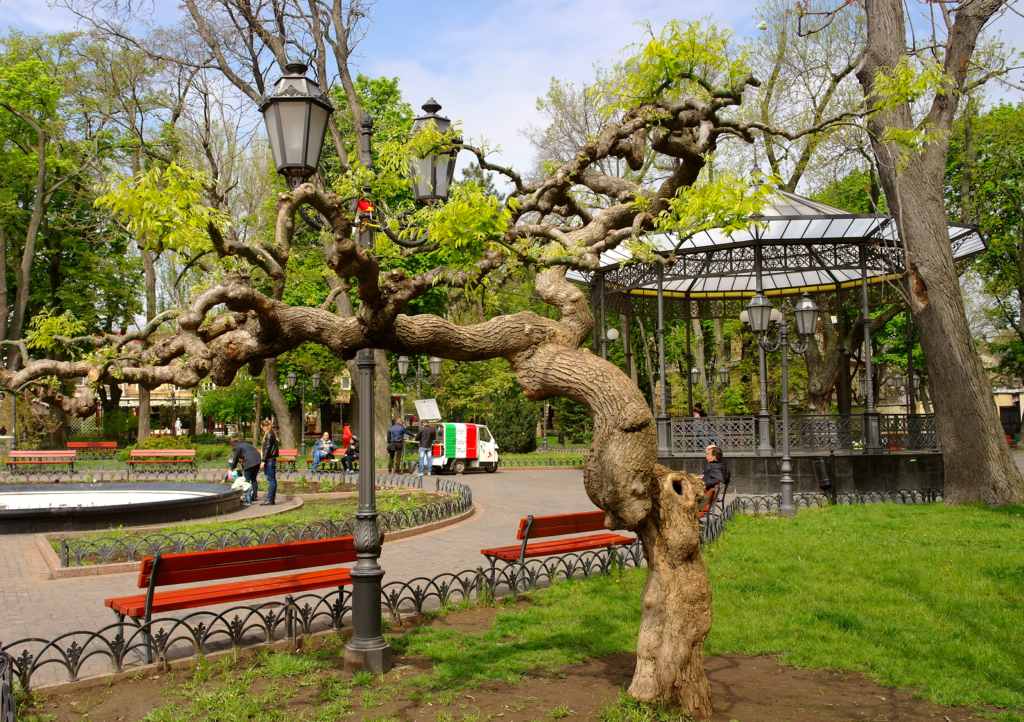 Odessa
