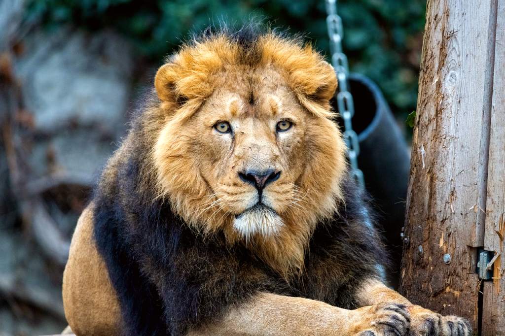 Wilhelma Zoo