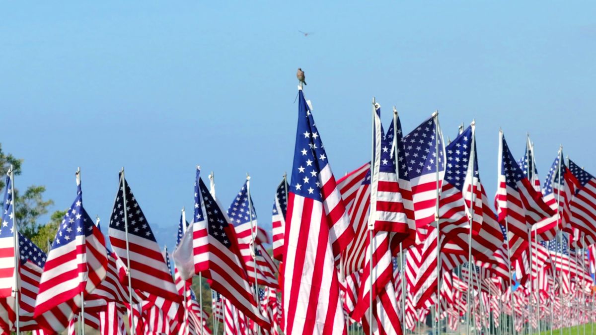 History - United States