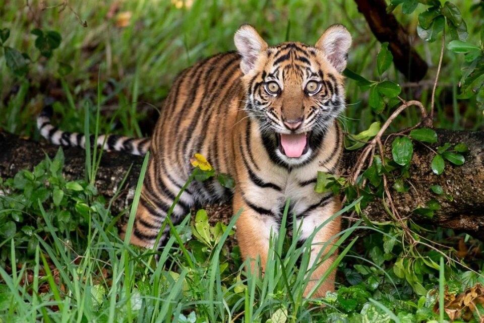 Zoo Miami