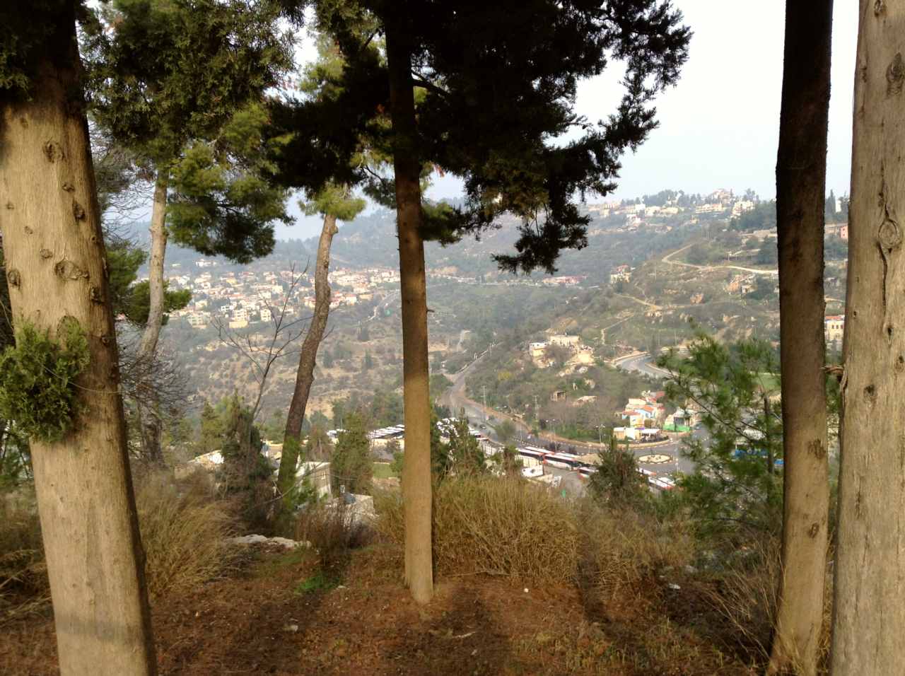 Safed