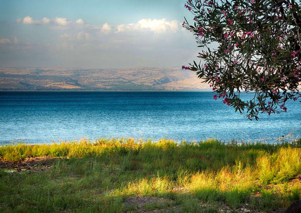Galilee