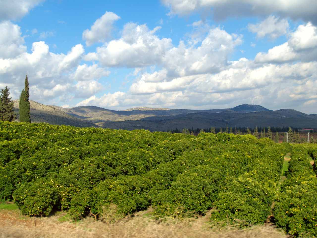 Galilee