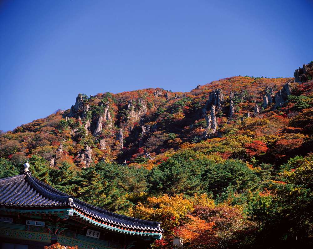 Jeju Island