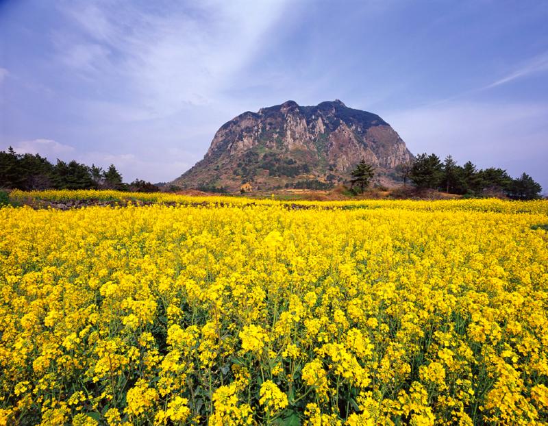 Jeju Island