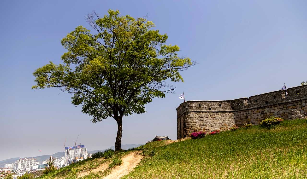 Suwon