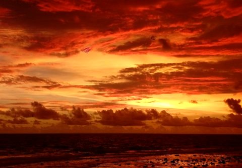 Galle