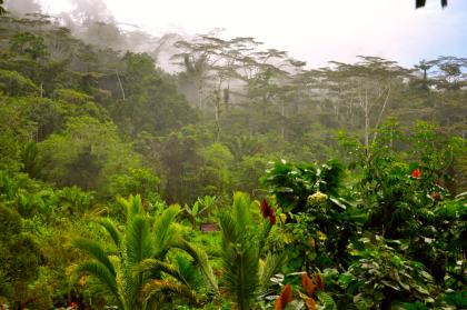 Manusela nasjonalpark