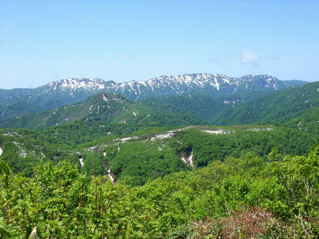 Shirakami-Sanchi (WHS)