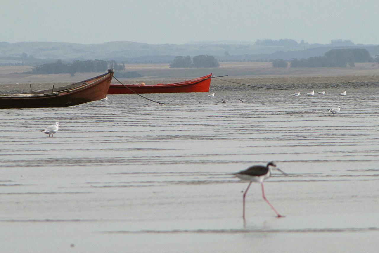 Laguna de Rocha