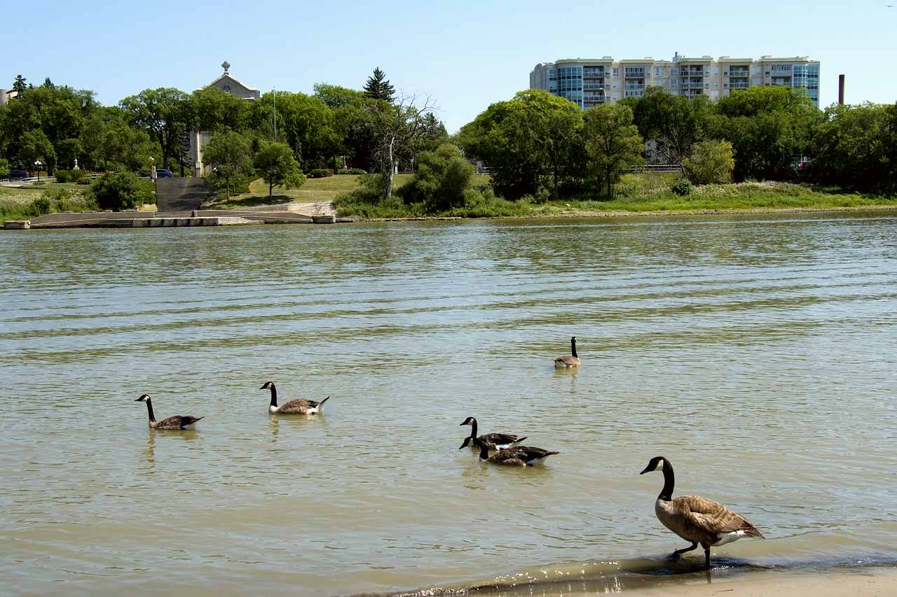 Winnipeg