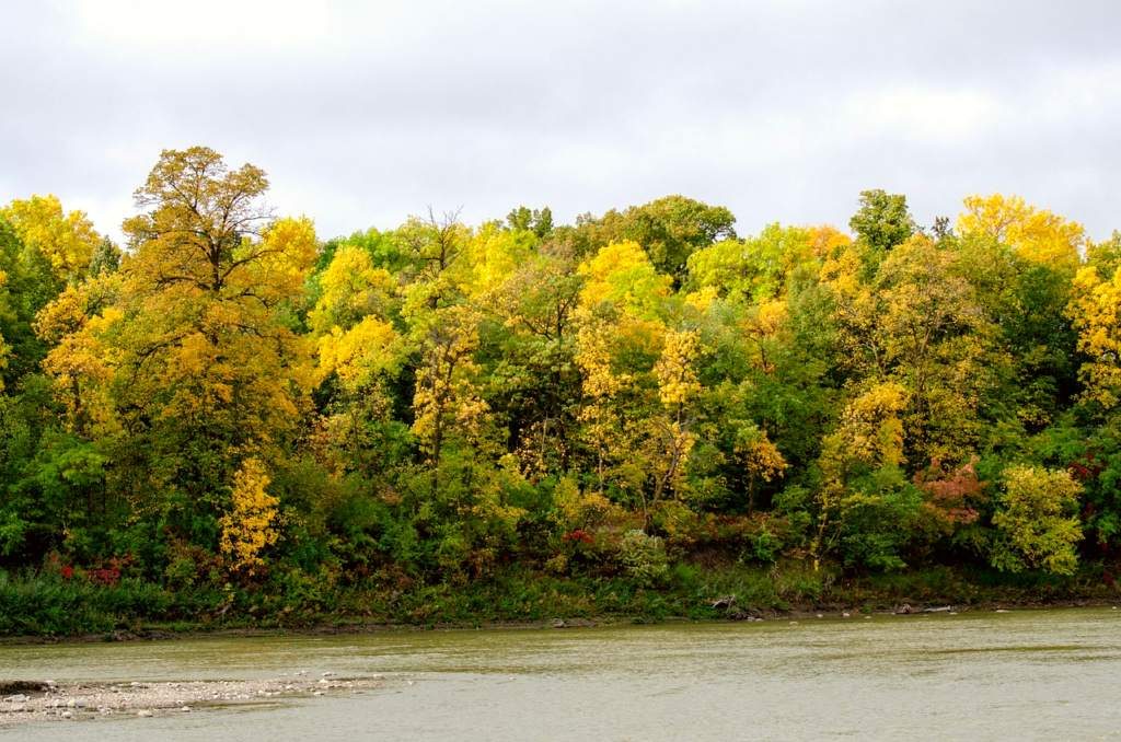 Winnipeg