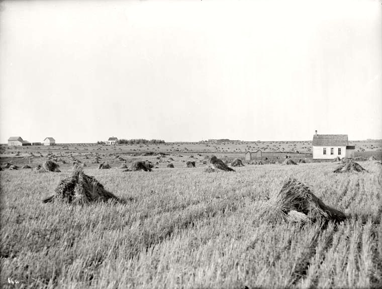 Morden