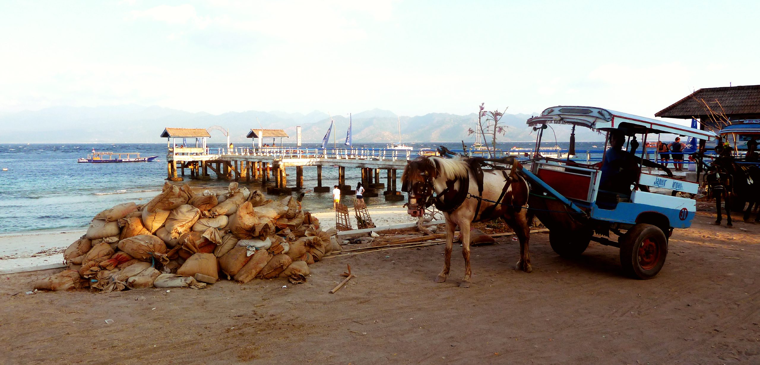 Explore the island's lively atmosphere