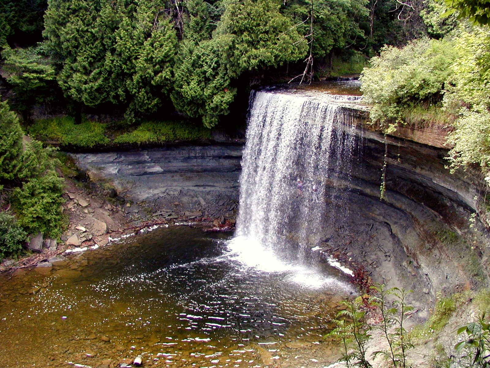 Nature's Splendor at Bridal Veil Falls