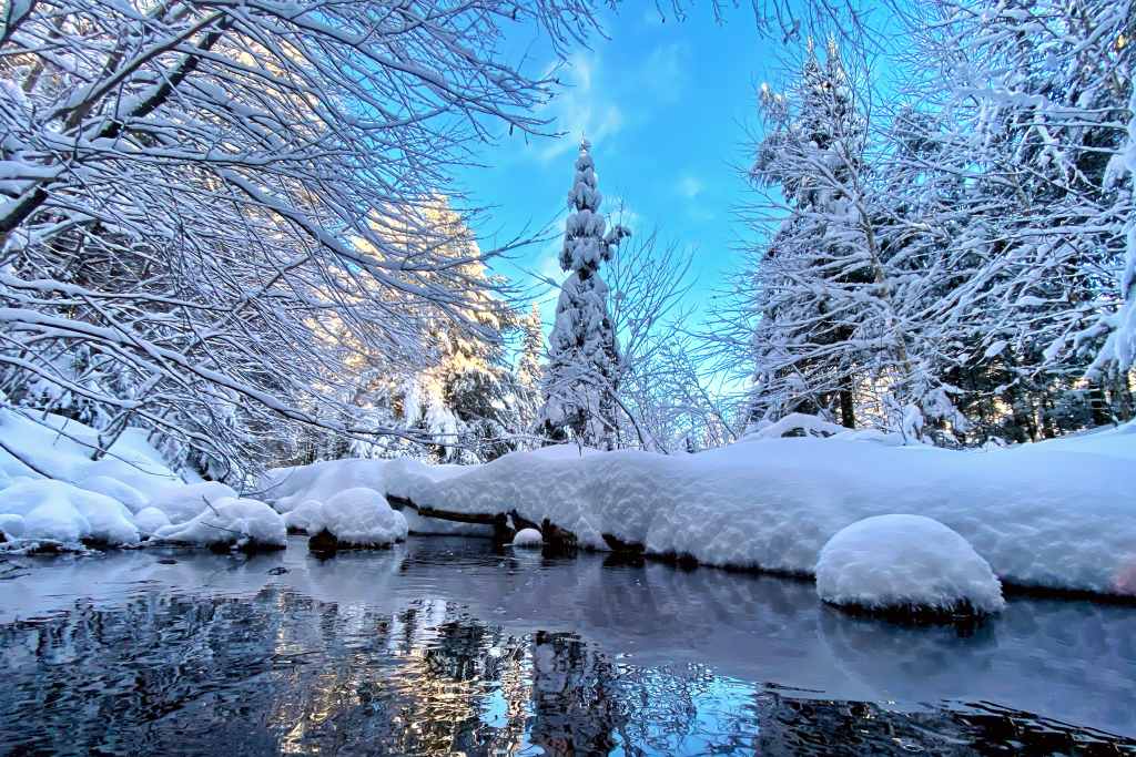 Winter Wonderland in Canada