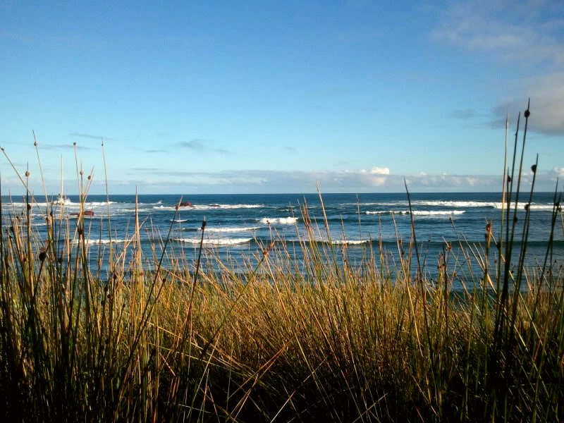 The coast of Phillip Island