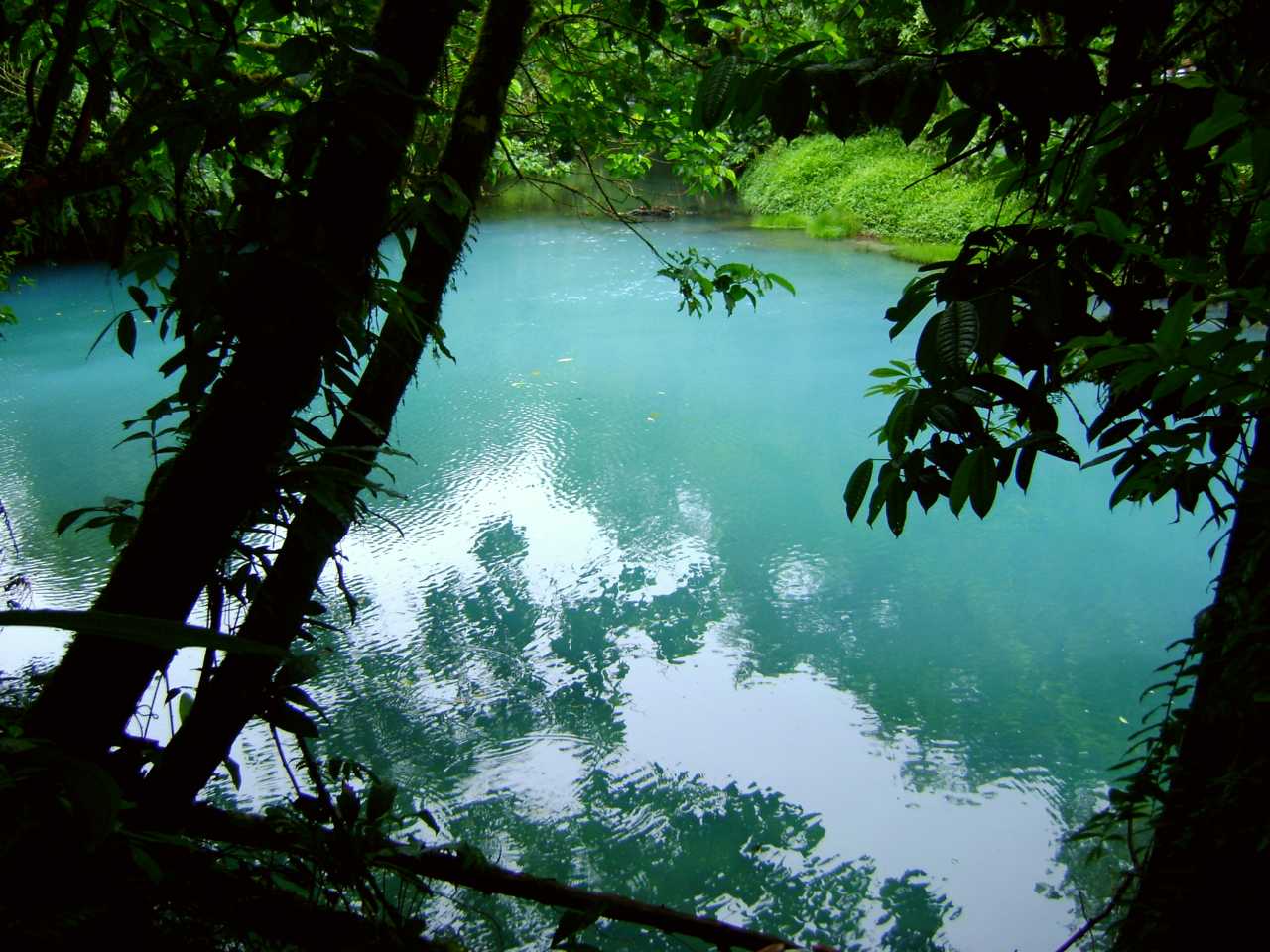 Discover the stunning Rio Celeste