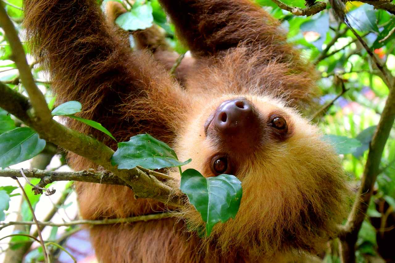 Costa Rica