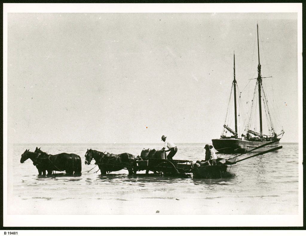 Loading grain from horsedrawn wagons to the ketch Free Selector