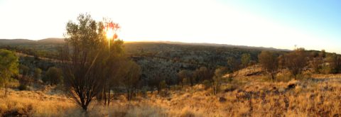 Alice Springs