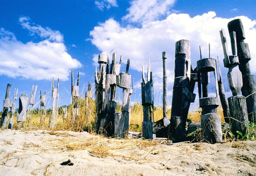 Traditional burial poles, Tiwi Islands, 2005.