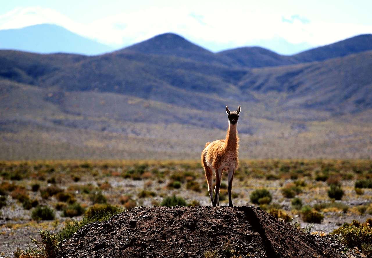 Chile