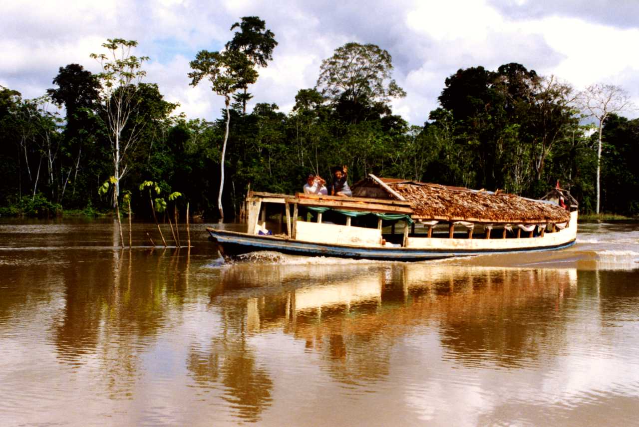 Explore the wonders of the Amazon