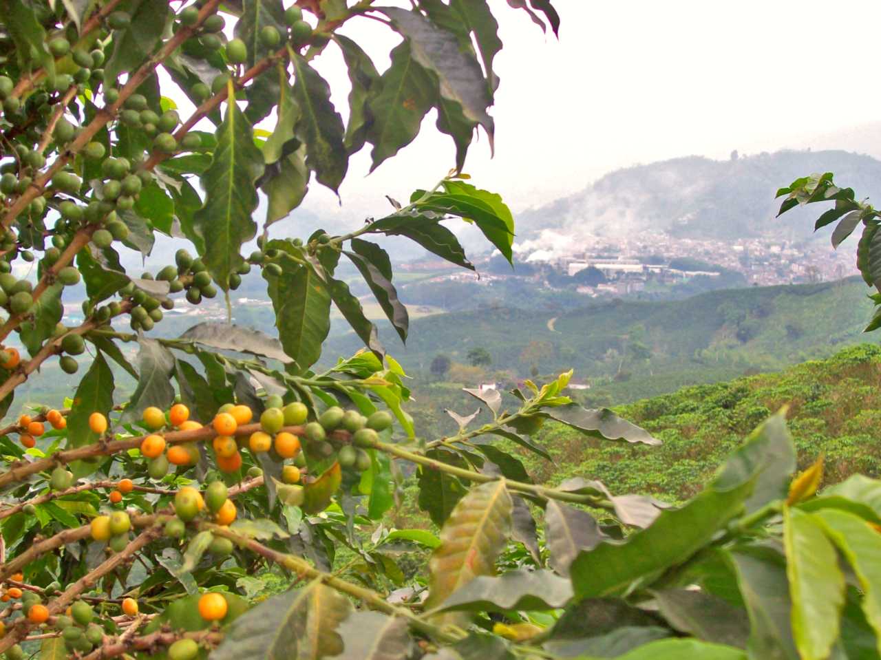 Colombia