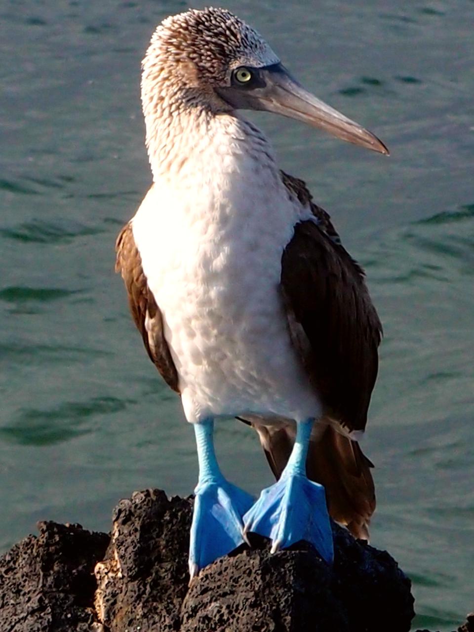 Ecuador