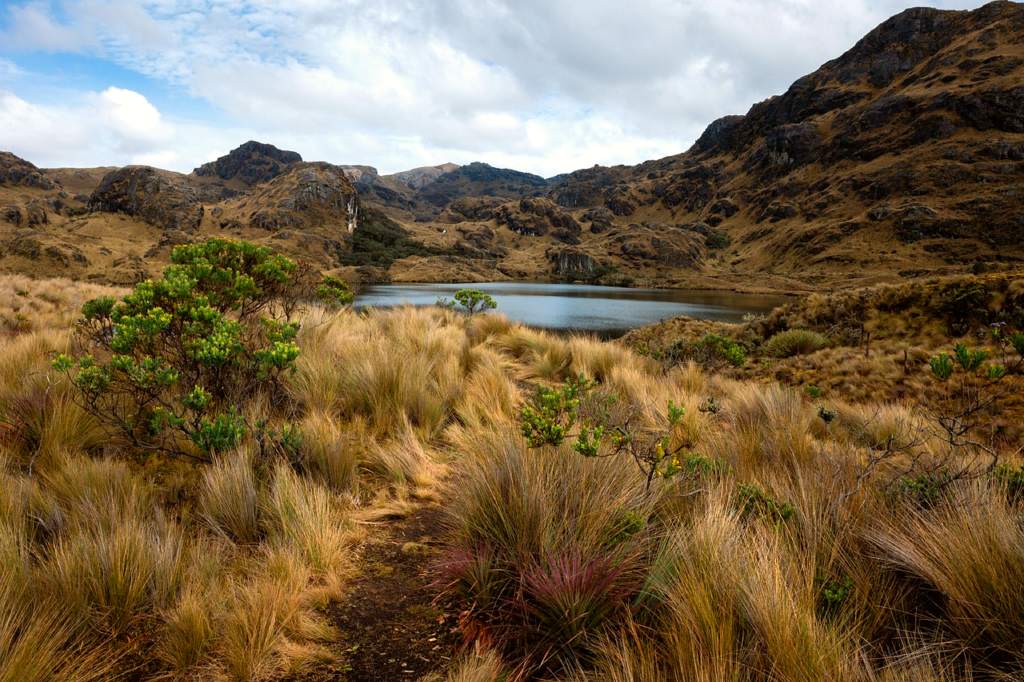 Ecuador