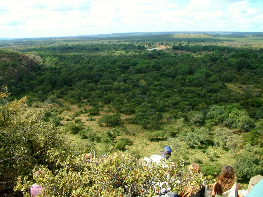 History - South Africa