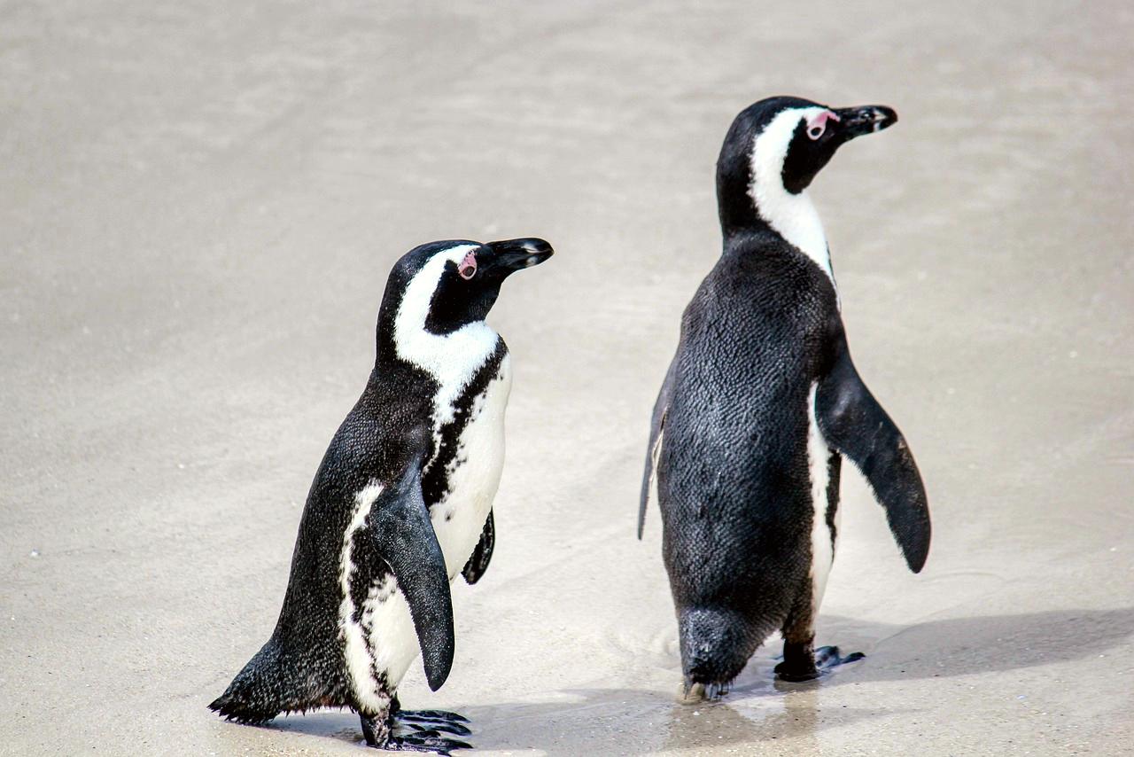South Africa