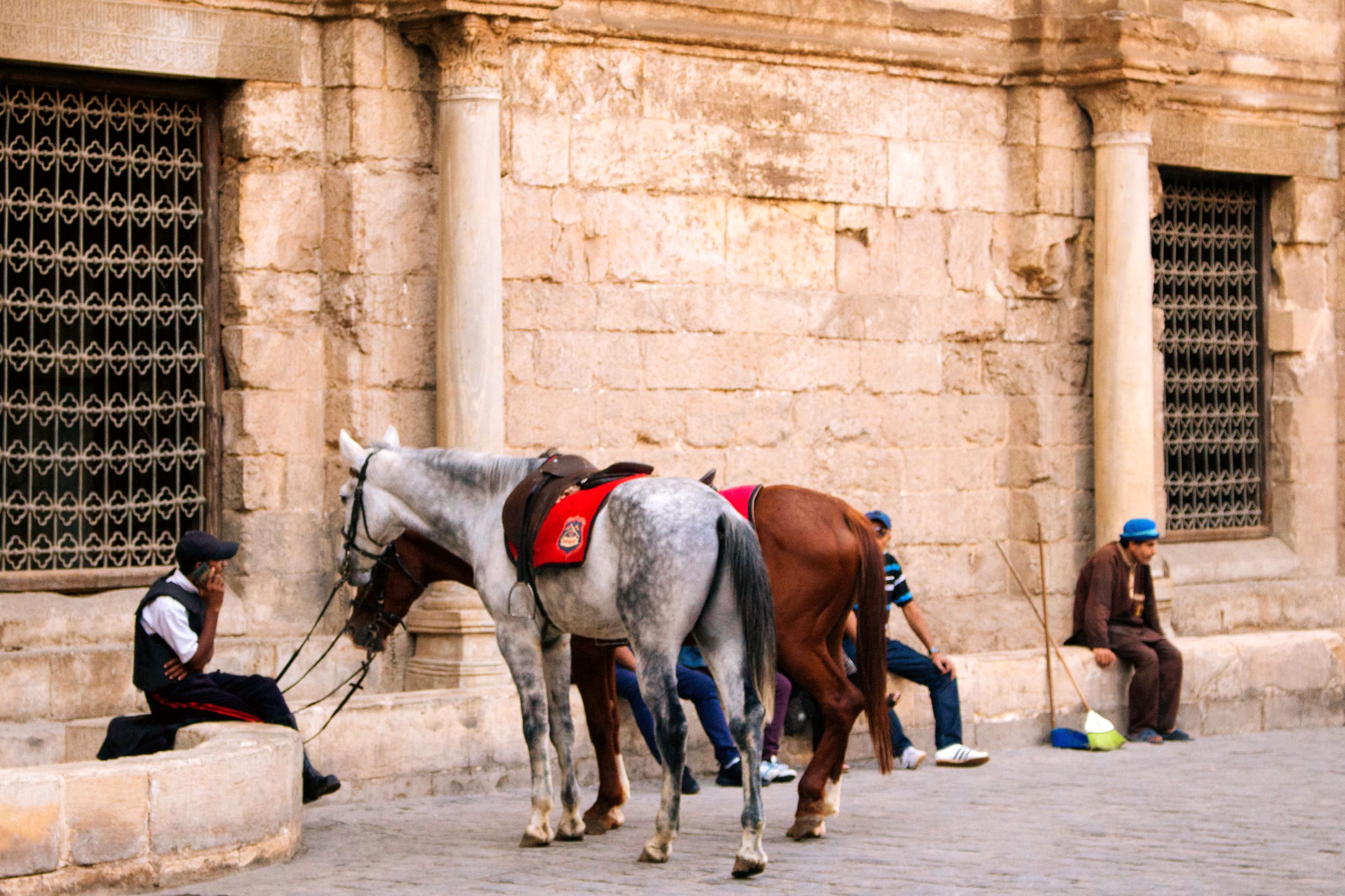 Explore the vibrant streets of Cairo