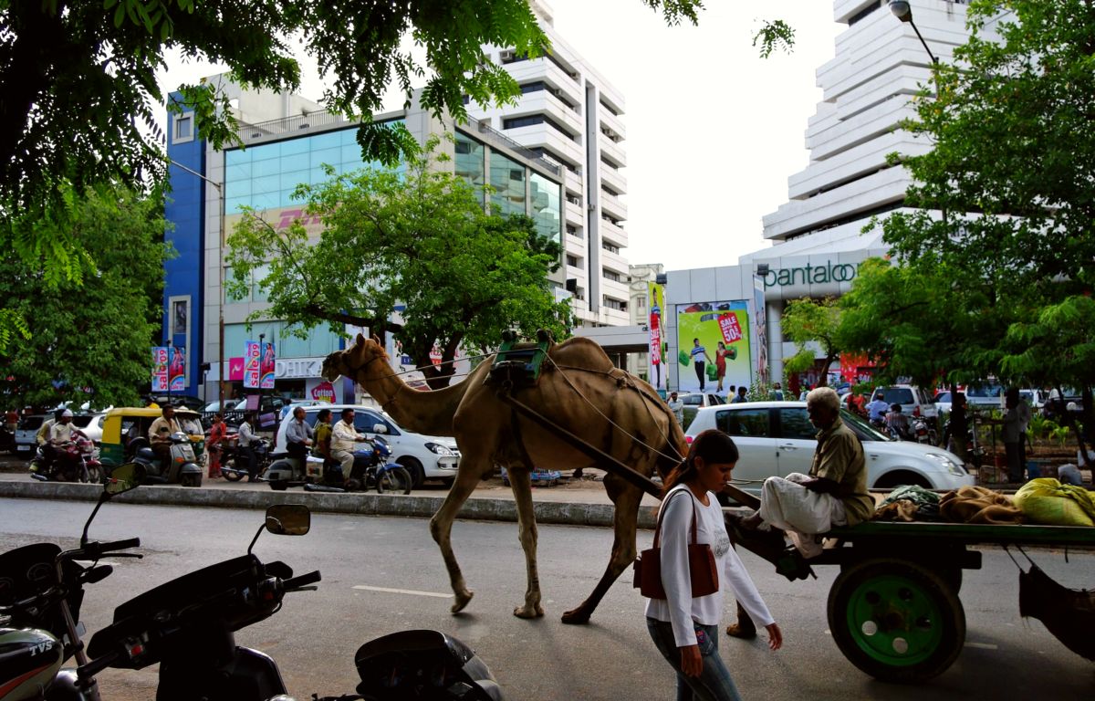 Local traditions - Ahmedabad
