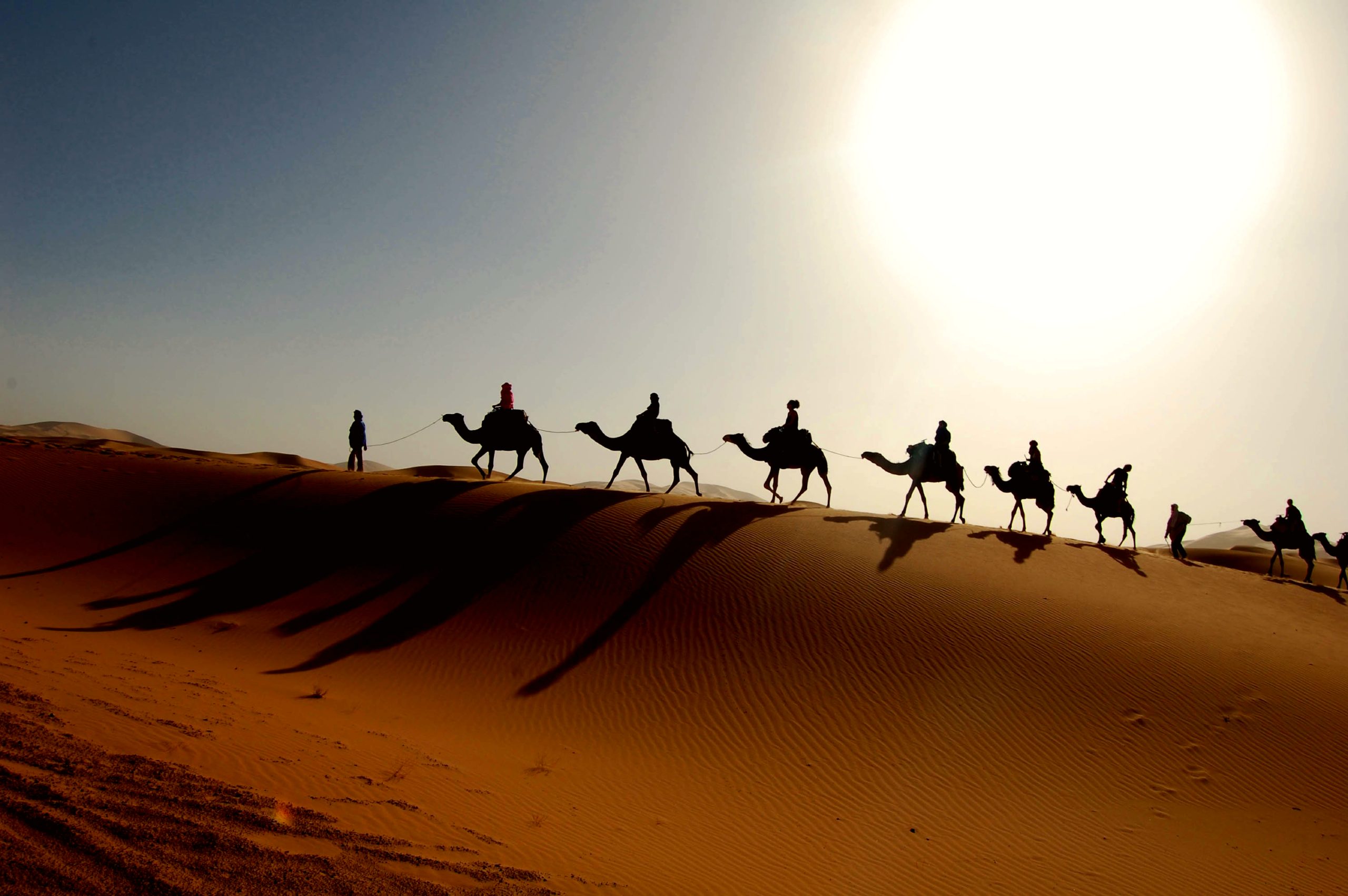 Experience the Magic of the Sahara